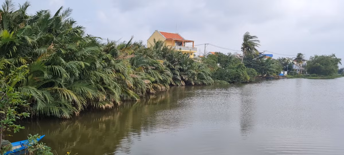  Làng rau Trà Quế nằm ngay bên cạnh dòng sông Cổ Cò hiền hòa, thơ mộng.