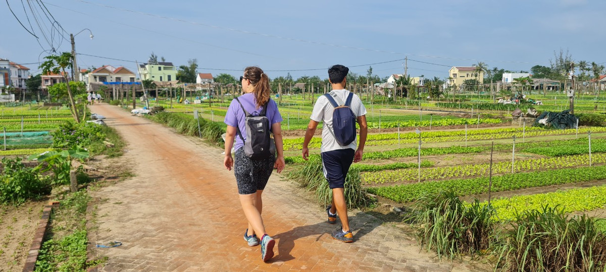 Đi bộ trên những con đường đất, hai bên là những luống rau xanh mướt, trải nghiệm cuộc sống ở Làng rau Trà Quế là lựa chọn không thể bỏ lỡ khi du lịch Hội An.