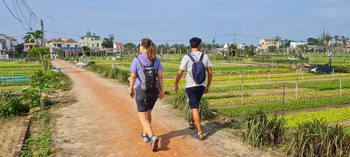 Đi bộ trên những con đường đất, hai bên là những luống rau xanh mướt, trải nghiệm cuộc sống ở Làng rau Trà Quế là lựa chọn không thể bỏ lỡ khi du lịch Hội An.