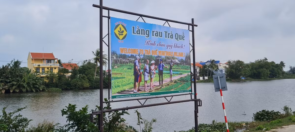 Chỉ cách trung tâm phố cổ tầm 3km, cách Đà Nẵng tầm 20km, làng rau Trà Quế là một trong những địa điểm du lịch không thể bỏ lỡ khi về với Hội An.