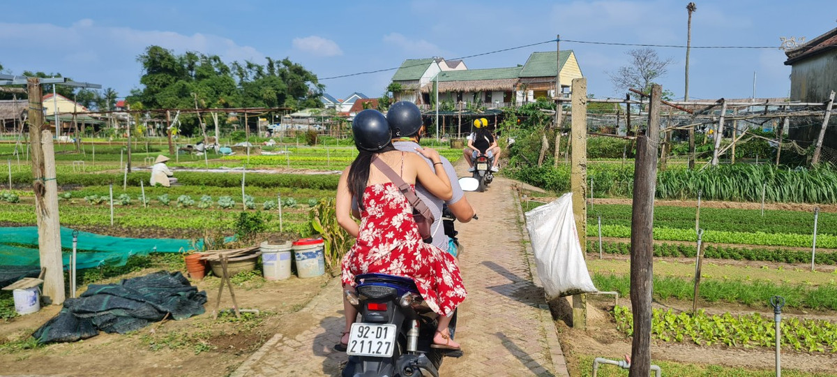 Không chỉ đơn thuần là nơi sản xuất rau sạch, Trà Quế còn là điểm đến lý tưởng cho các du khách yêu thích sự tươi mát và thanh bình của làng rau.