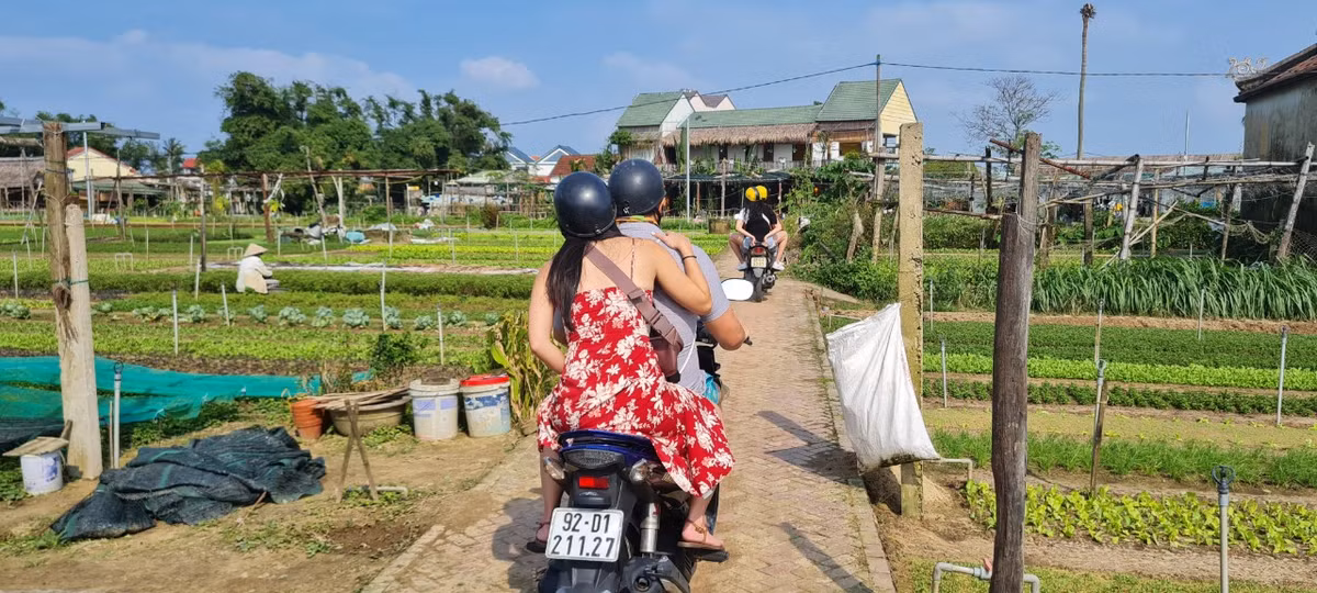 Không chỉ đơn thuần là nơi sản xuất rau sạch, Trà Quế còn là điểm đến lý tưởng cho các du khách yêu thích sự tươi mát và thanh bình của làng rau.