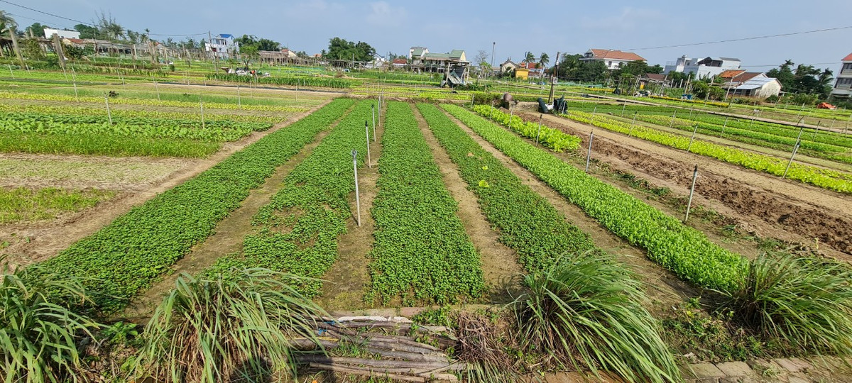 Đây là địa điểm du lịch sinh thái lý tưởng cho những ai muốn rời xa phố thị, tìm về một miền quê thanh bình, yên ả để thư giãn, tìm thấy sự bình an trong tâm hồn và rèn luyện thể chất, tăng cường sức khỏe.