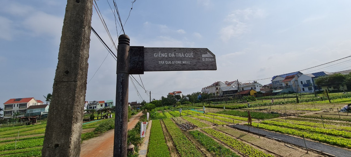 Một trong những địa điểm thu hút nhiều sự quan tâm của du khách khi đến với Làng rau nổi tiếng này là Giếng đá Trà Quế.