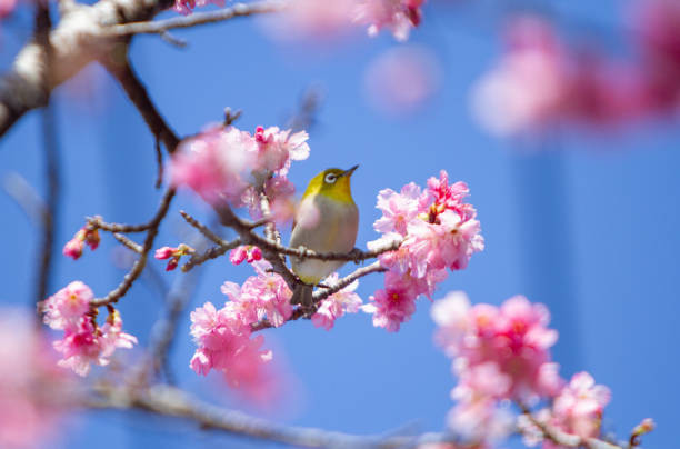 Với mỗi người, hạnh phúc gia đình có quan hệ mật thiết đến tâm trạng và cuộc sống. Nếu có thể có nhiều tiền để chi tiêu hơn, gia đình yên vui, hạnh phúc hơn thì đương nhiên chất lượng sống cũng tăng cao.Hãy xem những con giáp nào có vận may như vậy nhé! 