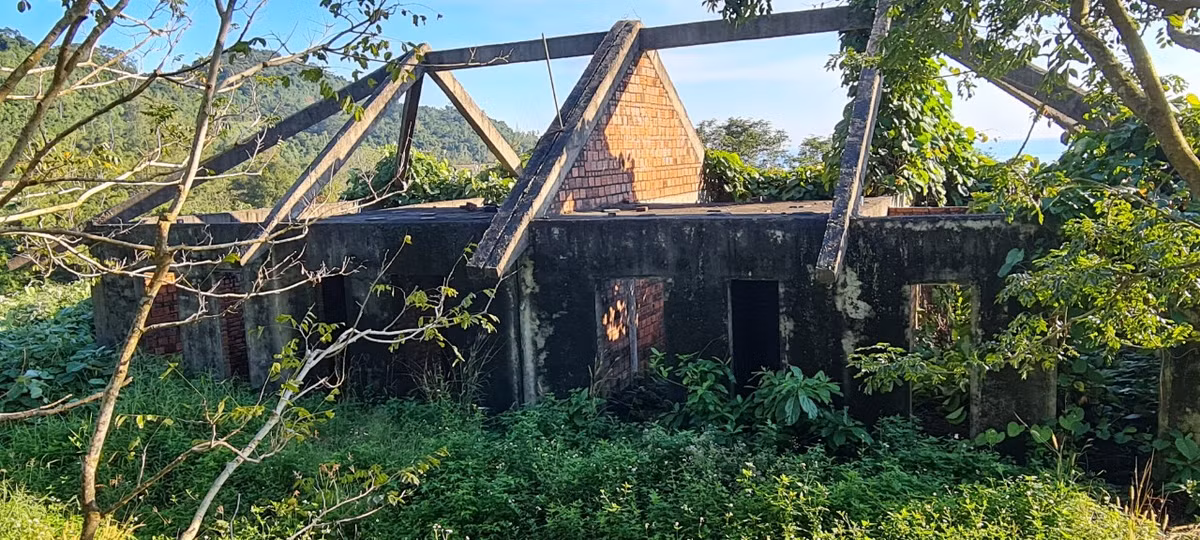 Mặt ngoài các hạng mục dang dở bị rêu phủ, cỏ dại ngập lối.