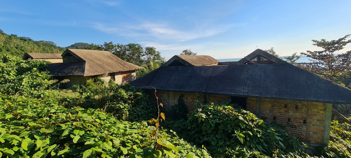 Hàng loạt căn biệt thự được xây thô, nay đã xuống cấp trầm trọng, chìm trong đám cỏ dại và dây leo.