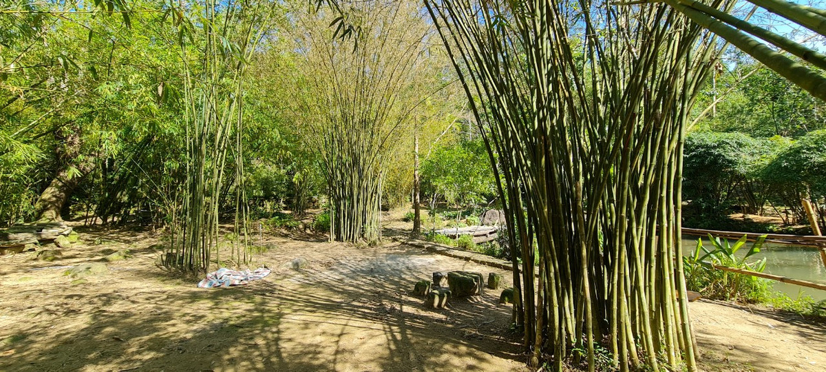 Trong cùng một loài mà ở những địa phương khác nhau cũng có những đặc điểm khác nhau.