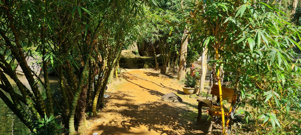 Men theo những con đường nhỏ rợp bóng tre, văng vẳng bên tai là tiếng suối chảy róc rách, chim ca líu lo và gió thổi rì rào...