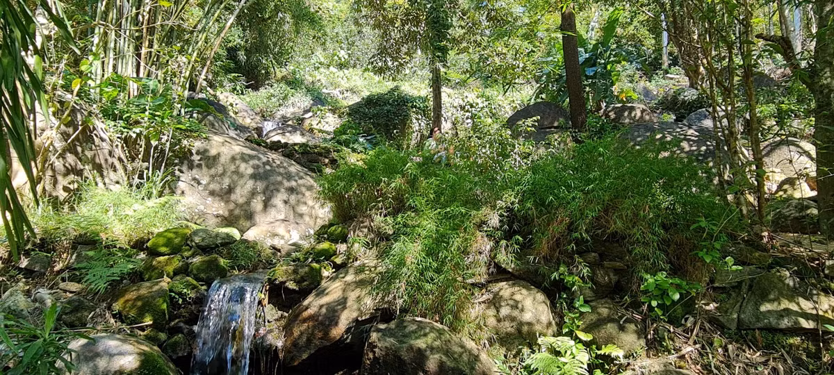 Điểm xuyết cho khu vườn tre rộng lớn, yên tĩnh là dòng suối chảy róc rách quanh năm, tất cả như hòa quyện lại tạo nên một bức tranh làng quê yên bình và nên thơ.