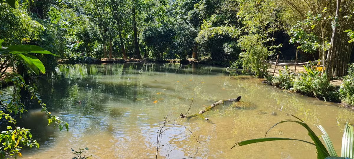 Sơn Trà Tịnh Viên được vun đắp nên bởi từ chính tâm huyết, công sức muốn bảo tồn các giống tre ở Việt Nam cũng như mong muốn giữ lại những nét đẹp của làng quê Việt.