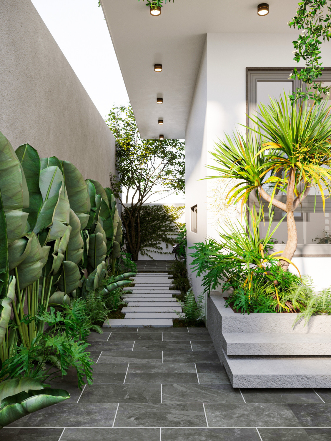 Lối đi nhỏ bên hông nhà dẫn ra sân sau được trang trí bằng hàng chuối tràng pháo và các bậc bước đúc bằng bê tông. Khi đi chợ về, gia chủ có thể đi thẳng mang đồ vào bếp mà không cần đi qua phòng khách, rất tiện lợi và sạch sẽ nhất là khi trời mưa.