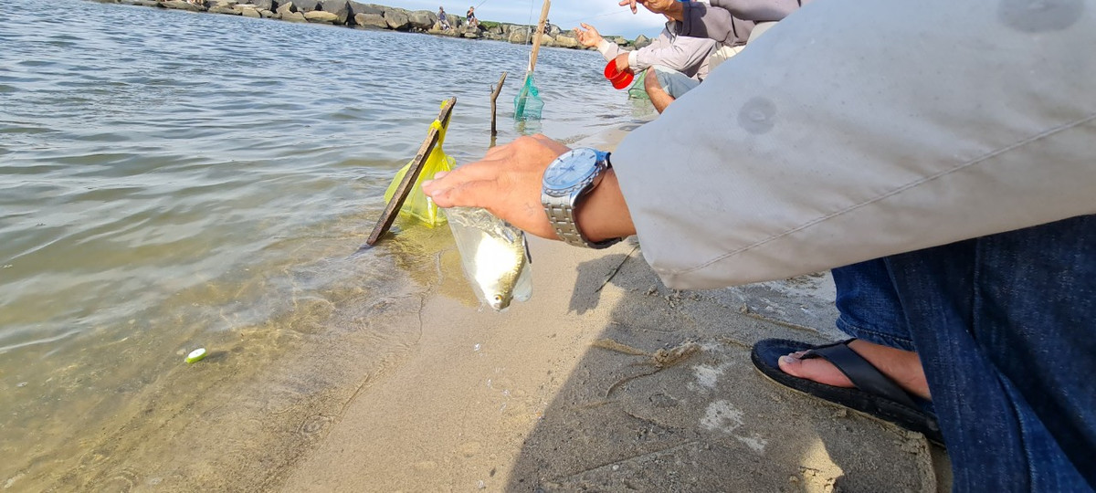 Những tháng cuối thu, đầu đông khu vực này rất nhiều cá.