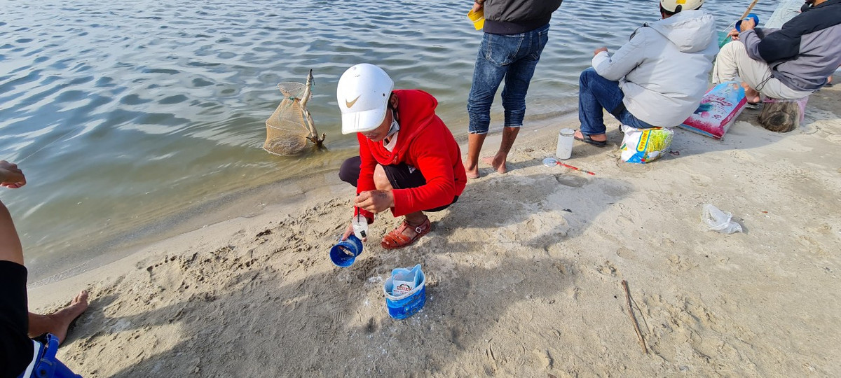 Thay vào đó, các cần thủ chỉ dùng một đoạn cước dài khoảng 12-15m cùng với một ít bột mỳ là đủ cho buổi chiều hứa hẹn đầy ắp cá.