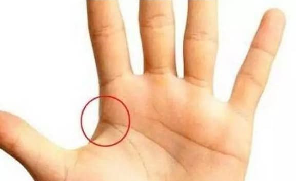 Ban tay co mot trong ba duong nay la dai phu dai quy