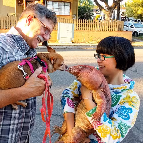 Hiện thằn lằn MacGyver đã 4 tuổi, nặng 9kg, là một ngôi sao động vật có tiếng với 90.000 người theo dõi trên Youtube.