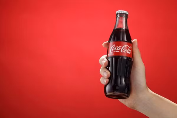 Nhung bi mat the gioi chi co 2 nguoi biet-Hinh-3