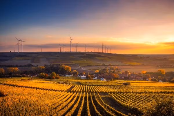 Nhung bi mat the gioi chi co 2 nguoi biet-Hinh-6