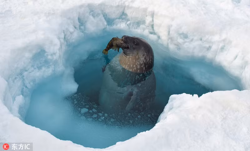 Buổi triển lãm đã lựa chọn được 24 tác phẩm nhiếp ảnh đẹp nhất từ 60 tác phẩm nhiếp ảnh dự thi.