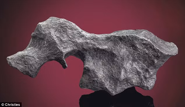 Một khối thiên thạch có hình dạng dị thường, trông như một con vật. Nguồn ảnh: Dailymail.