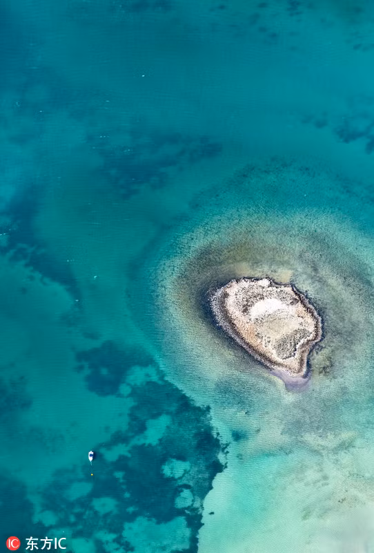 Vẻ đẹp hoang sơ say đắm lòng người tại vịnh Shark (vịnh Cá mập) thuộc vùng miền Tây Gascoyn, Úc.