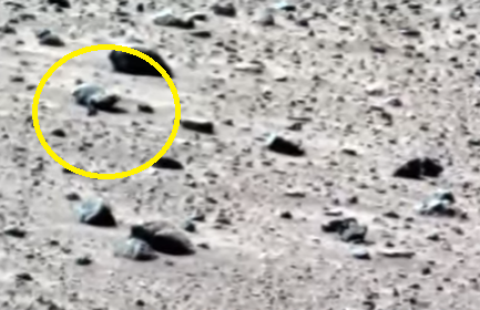 Hình ảnh rõ nhất của vật thể lạ có đầu ngẩng cao, có mũi, có hai chân trước, cổ tròn, lưng tròn, tất cả tạo nên dáng y hệt con hải cẩu đang nằm bò trên mặt cát biển. Nguồn ảnh: ufosightingsdaily.