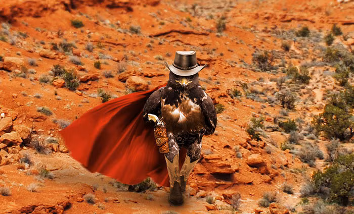 Khi thì chú chim ưng được biến hóa thành cao bồi trong cái nắng gắt.