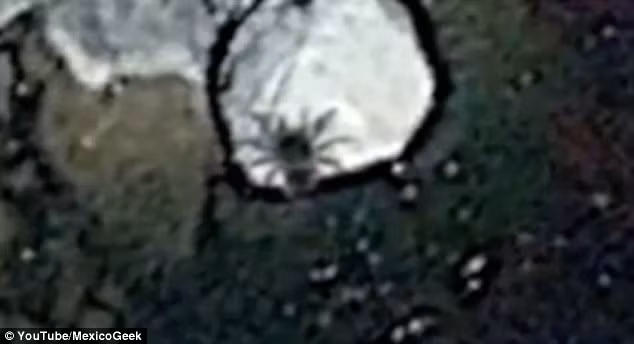 Hình ảnh chụp từ vệ tinh Google Earth cho thấy vật thể lạ này có 9 chân thay vì 8 chân, một số quan điểm cho rằng đây là một côn trùng biển khổng lồ, và cũng có thể là một con cua nhện. Nguồn ảnh: Dailymail. 