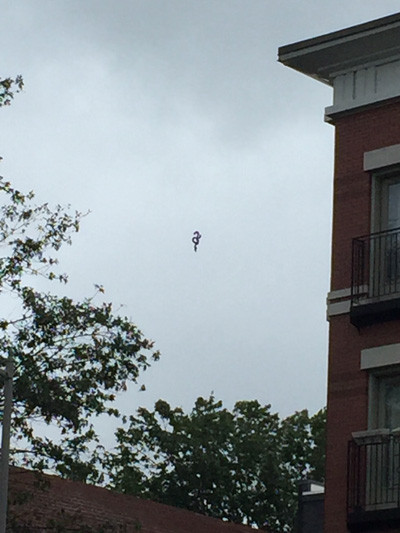 Vật thể bay lơ lửng tầm khoảng 3 phút sau đó bất ngờ di chuyển về phía lùm cây bên dưới rồi mất hút. Nhân chứng có chạy tới hiện trường nhưng không tìm thấy bất kỳ dấu hiệu nào nữa.