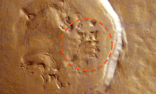 Theo các bức ảnh mô tả lại, chúng ta có thể thấy có hai gương mặt dính liền nhau một cách nghệ thuật, mang hình hài của quỷ sa tăng, có mắt ,có mũi, miệng và vành mặt trọn vẹn, phần đầu của mặt này là phần mặt của mặt kia và con mắt của mặt người này lại là phần miệng của mặt người phía trên. Nguồn ảnh: Ufosightingsdaily. 