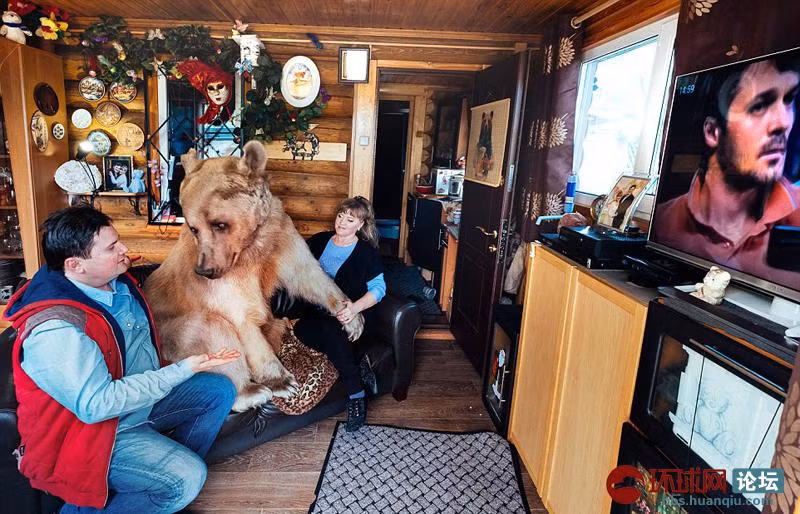 Trong hình, là lúc "đại gia đình" đang nằm trên sofa xem TV cùng nhau.