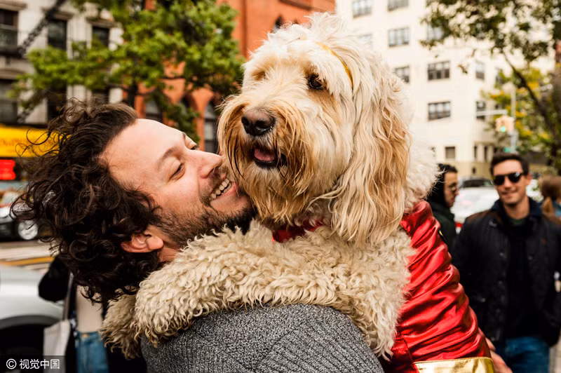 Vẻ hào hứng của một người chủ nuổi chó.