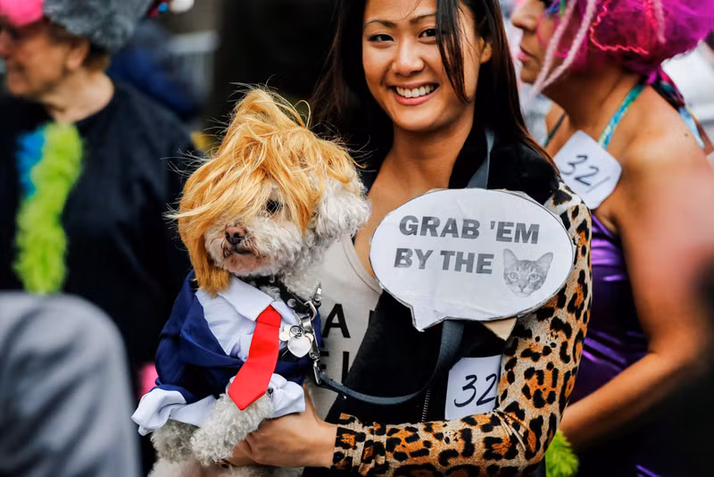 Mùa lễ hội Halloween bây giờ không chỉ dành cho con người mà ngay cả đến những chú cún hay chú mèo cưng cũng được chủ sở hữu của mình khoác lên mình những trang phục sặc sỡ.