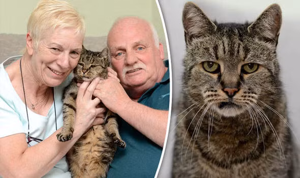 Mặc dù chỉ còn có ba chiếc răng nhưng Nutmeg vẫn còn đang rất khỏe mạnh.