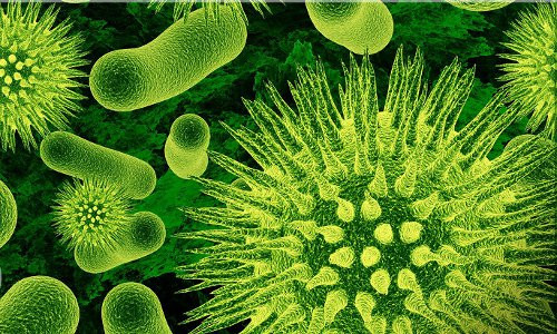  Vi khuẩn T-103. Vi khuẩn T-103 giúp chuyển hóa giấy thành nhiên liệu đốt. Loại vi khuẩn này được tìm thấy trong chất thải động vật, có thể sản xuất nhiên liệu sinh học butanol bằng cách ăn giấy. TU-103 cũng là chủng vi khuẩn kỵ khí duy nhất có thể sinh trưởng trong môi trường có oxy mà con người từng biết.