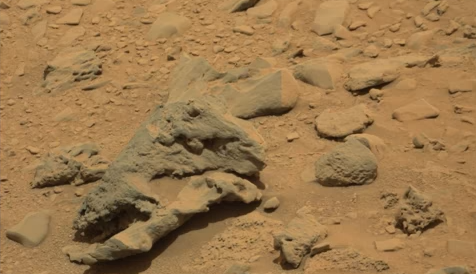 Mọi chi tiết đều giống hệt một đầu sọ khủng long hoàn chỉnh mà chúng ta thường thấy trong viện bảo tàng. Nguồn ảnh: ufosightingsdaily. 