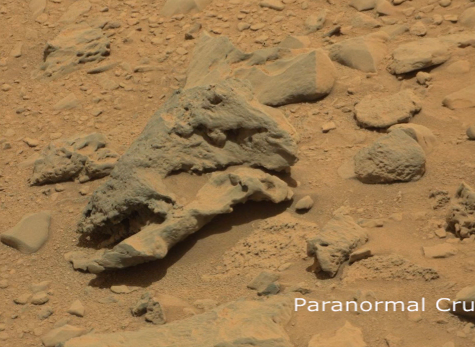 Phóng to bức ảnh, nhìn tổng quát, vật thể lạ này giống y hệt một hộp sọ khủng long thời tiền sử. Nguồn ảnh: ufosightingsdaily. 