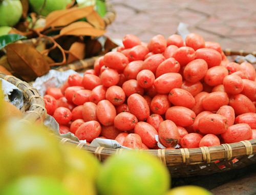 Hiện nay, cây nhót còn có thể trồng làm bonsai hoặc cây sân vườn. Trong những năm gần đây, cây nhót trở thành một loại cây trồng cho hiêu quả kinh tế cao.