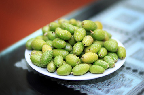 Khi ăn quả nhót, bạn nên cạo sạch lớp bụi phấn để tránh gây đau họng do vẩy nhót bám vào, tránh ăn quả nhót khi đang đói bụng vì dễ gây kích ứng dạ dày, chỉ nên ăn sau bữa cơm khoảng 30 phút.