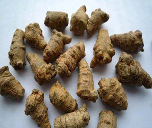  Cây tam thất thuộc họ nhân sâm, còn được gọi với nhiều tên khác nhau như xuyên tam thất, điền tam thất, sâm tam thất, sâm hoàng liên, sâm vũ diệp, kim bất hoán...Loài cây này ưa sống ở vùng núi cao, khí hậu mát mẻ hoặc trong rừng nhiều bóng râm.