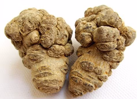 Như đã nói ở trên, tam thất có rất nhiều tác dụng chữa bệnh. Cụ thể, tam thất giúp tăng lực, tăng sức đề kháng, điều hòa miễn dịch; bảo vệ tim, ngăn ngừa xơ vữa động mạch, cầm máu, tiêu máu, tiêu sưng…