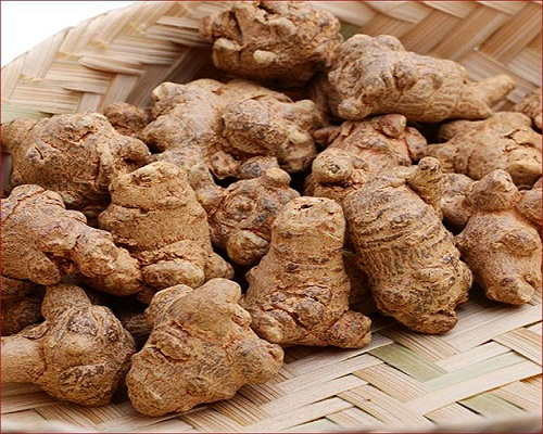 Hoa tam thất cũng được xem là một thảo dược quý và trong dân gian từ lâu đã không còn xa lạ gì với loại thảo dược này. Nụ hoa tam thất có thể chữa nhiều bệnh như mất ngủ, huyết áp cao, thiếu máu, xơ gan, làm thuốc giải độc gan…