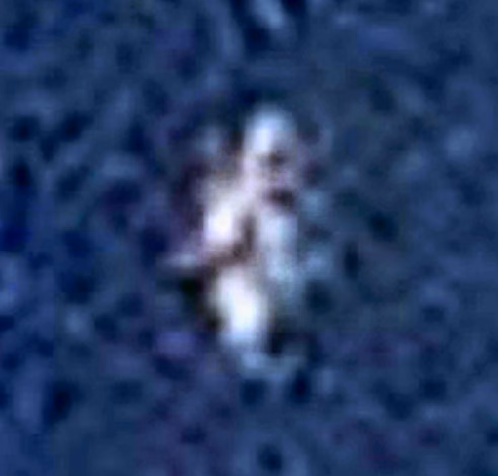 Phóng to bức ảnh có thể thấy vật thể trông giống như những bóng ma xuất hiện trong các bộ phim hoạt hình. 