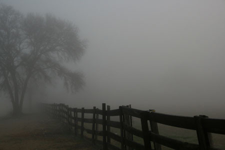Sương mù là hiện tượng khí tượng nguy hiểm vì nó làm giảm tầm nhìn của chúng ta khi di chuyển, đặc biệt là đối với giao thông vận tải đường bộ, đường sông, đường biển và hàng không.