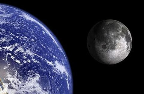 Trái đất đã từng được bao phủ bởi những cây nấm khổng lồ trước khi được bao phủ bởi cây xanh. Đây cũng là nơi duy nhất trong hệ mặt trời có nước tồn tại được ở cả 3 dạng: rắn, lỏng và khí.