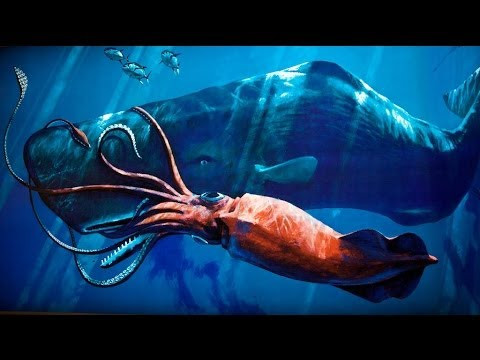 Mực ống khổng lồ sống ở độ sâu 914m - 1,8km. Chúng có đôi mắt to để phát hiện con mồi trong môi trường không có ánh sáng. Mắt của nó có đường kính 25cm, kích thước tương đương với một quả bóng biển.