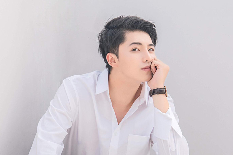 Hình ảnh Harry Lu sau 20 lần phẫu thuật thẩm mỹ vì tai nạn. Ảnh: Fanpage