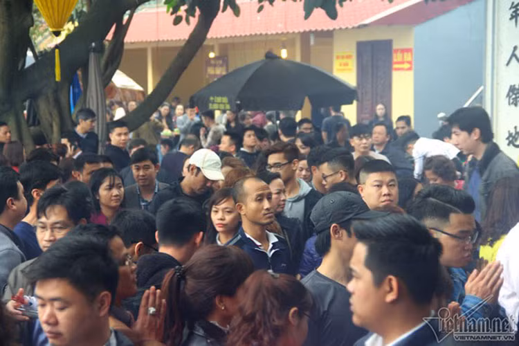 Các lối vào phủ ken đặc người đi lại.