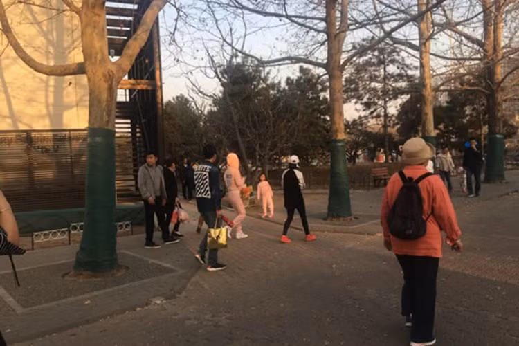 Ông xã của Lý Tiểu Lộ tiếp tục vắng bóng bên vợ con.