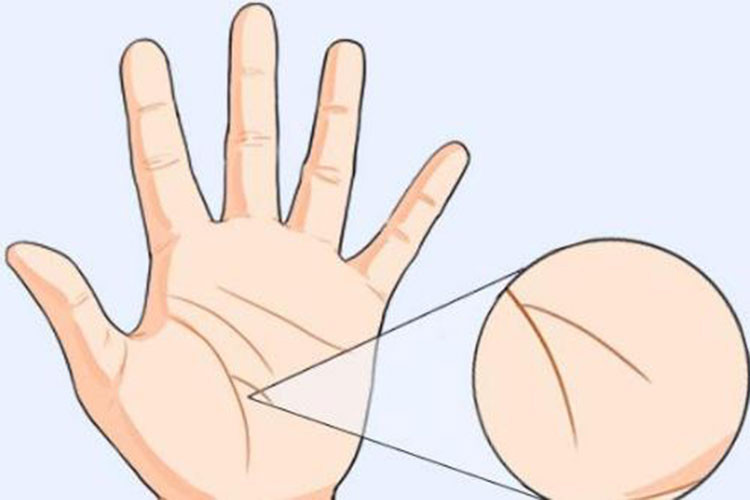 Người sở hữu đường vân tay này thuộc tuýp người giàu có từ trong trứng nước. Họ được sinh ra trong gia đình giàu có, vì lẽ đó họ có rất nhiều cơ hội tốt. Họ được đi du học nước ngoài và học những điều tốt nhất. Họ thông minh, nhạy bén nên rất giỏi giao tiếp và dù gặp phải khó khăn gì, bạn luôn tìm ra cách giải quyết rất nhanh. Họ cũng là người đưa ra những sáng kiến cực hay và là người lãnh đạo giỏi.